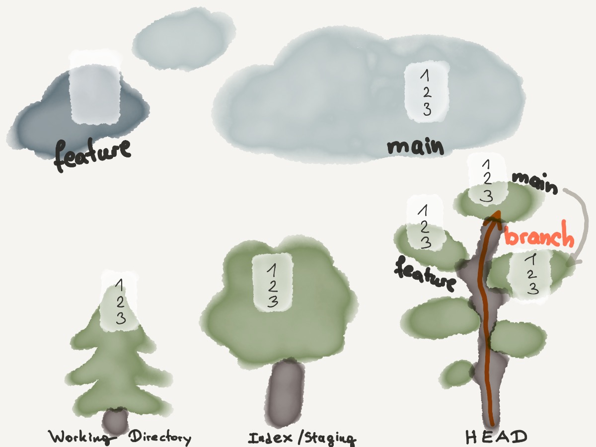 branch